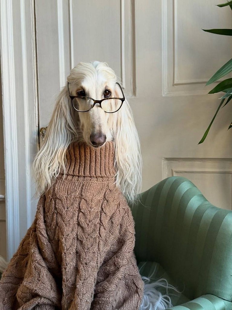  ,            .  ... - 4