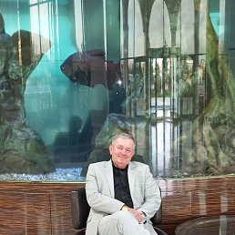 ����, ������, 58 ���