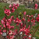 ���� ���, ������ - ��������� 31 ����� 2024