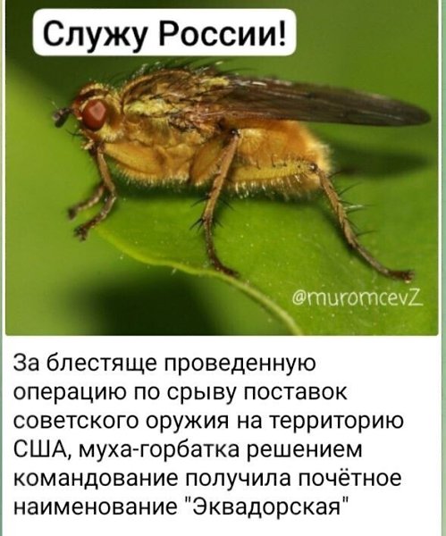   - 2  2024  07:17