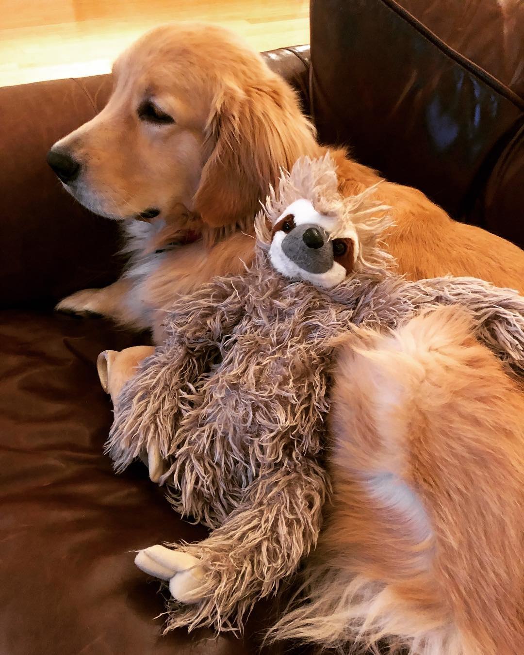 ! !    ,         ... - 3