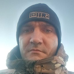 ������, ������, 36 ���