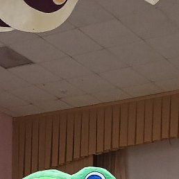 ����, ������, 53 ����