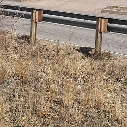 �������, ������, 48 ���