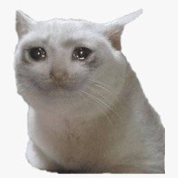 ������, �����, 43 ����