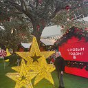 ���� ���, ������ - ��������� 3 ������ 2025 � ������ ���� ����������