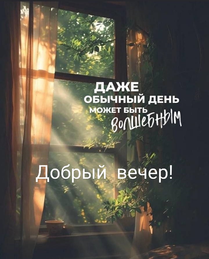   ,    . - 15  2025  17:45