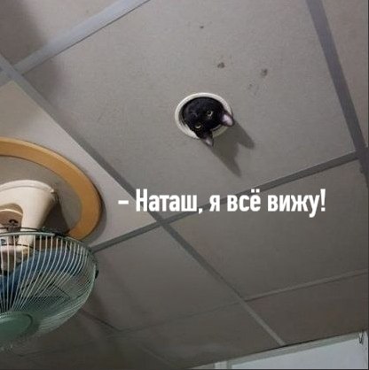       - 26  2025  17:06 - 2