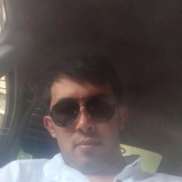 �����, 37 ���, �����������