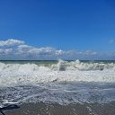 ���� ������, �����-���������, 43 ���� - ��������� 14 ����� 2026