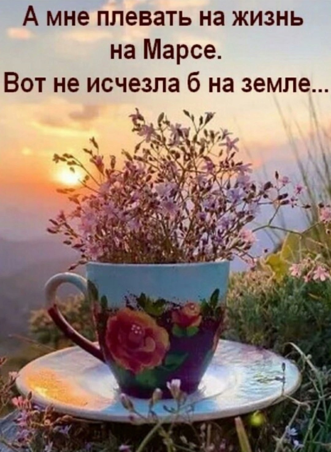 ���� - 15 ������� 2026 � 14:55
