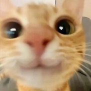 ����, 28 ���, ������-���