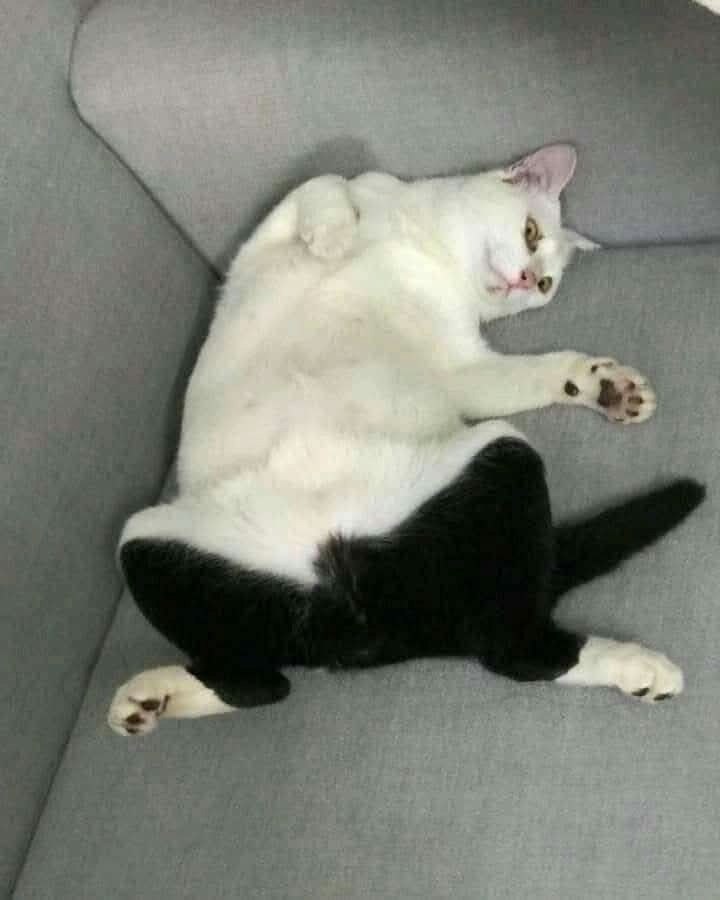  ) - 3