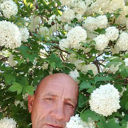 , 46, 