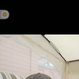 �����, 49 ���, �������