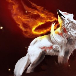 Vlad, �����, 24 ����