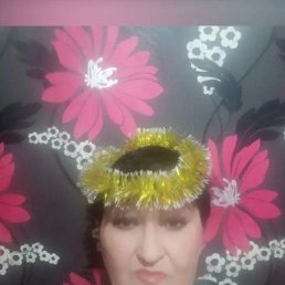 , 61, 