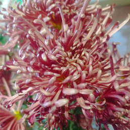 ����, �����, 48 ���