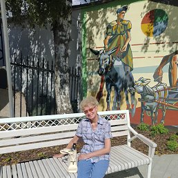 , 67, 