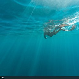 ���������-���������, ���������, 51 ���