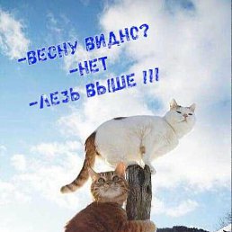 ���� ��, ������, 58 ��� - ��������� 3 ����� 2024