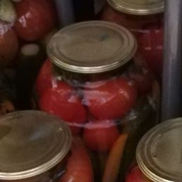 ������ ��������, ������, 44 ����