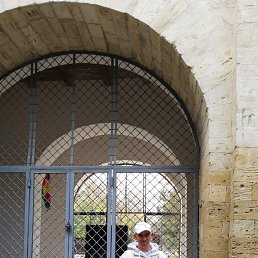 �������, 48 ���, ���������