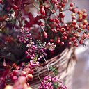 ���� *�������*, �����-��������� - ��������� 26 ������� 2025 � ������ �������� ��������