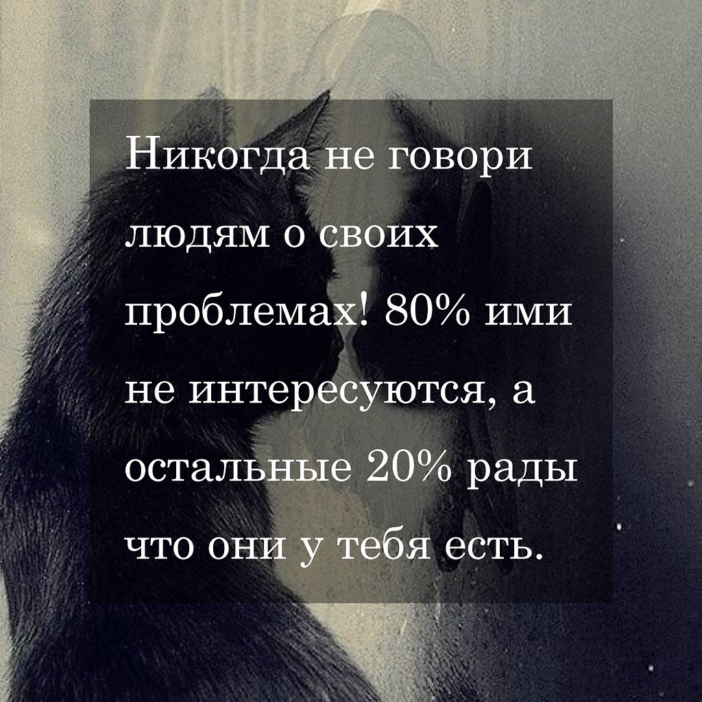   - 23  2025  20:06