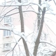 �������, 47 ���, �����-���������