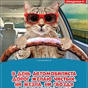 ���� �������, ������, 61 ��� - ��������� 26 ������� 2025 � ������ ������ ��������