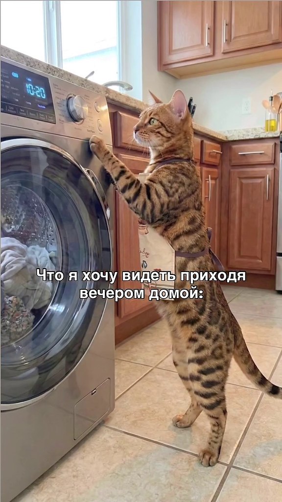 ��, �����...