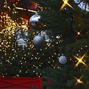 ���� ������ ����, ������, 49 ��� - ��������� 31 ������� 2025 � ������ ������ ��������