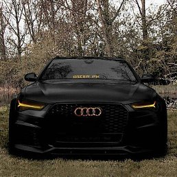 ������, �������, 31 ���