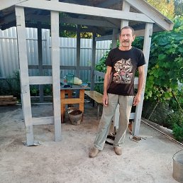 �������, 65 ���, ����