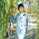 ���� �����, ���������, 43 ���� - ��������� 27 ������� 2023 � ������ ���� ����������