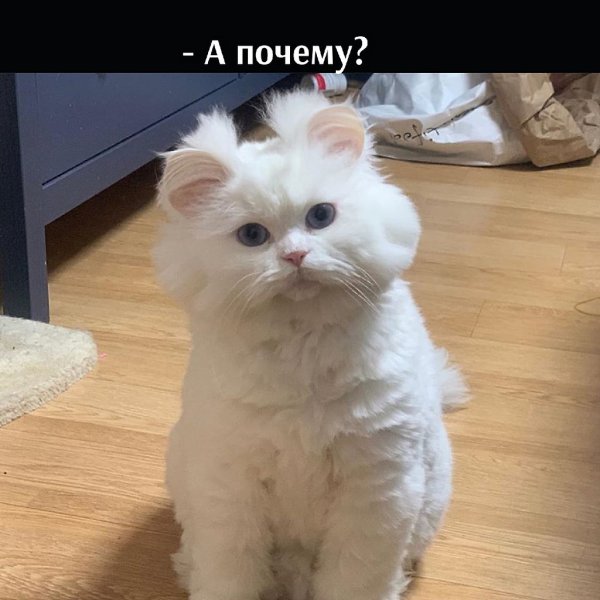 ��� ���� � ����� �� �� - 21 ������� 2025 � 17:28 - 2