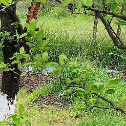 Фото Алексей, Новопавловск, 30 лет Алексей, Новопавловск, 30 лет