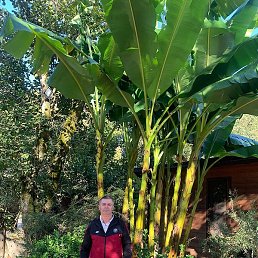 ���������, ���������, 49 ���