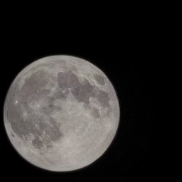 ���� ����, ��������, 34 ���� - ��������� 8 ������ 2026