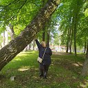 ���� ������59, ������, 58 ��� - ��������� 20 ������� 2025 � ������ ���� ����������