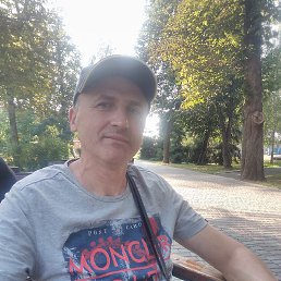 , 52, 
