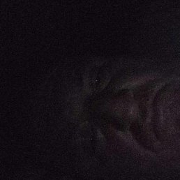 Mirzaid, ����, 61 ���