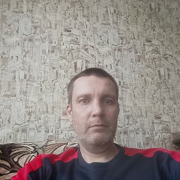 ����, 43 ����, ���������