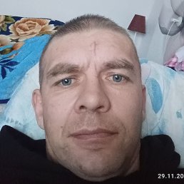 ���������, ������, 44 ����