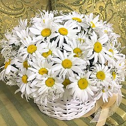 ����, ������, 49 ���