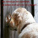���� ����, ��������, 62 ���� - ��������� 2 �������� 2025 � ������ ������ ��������