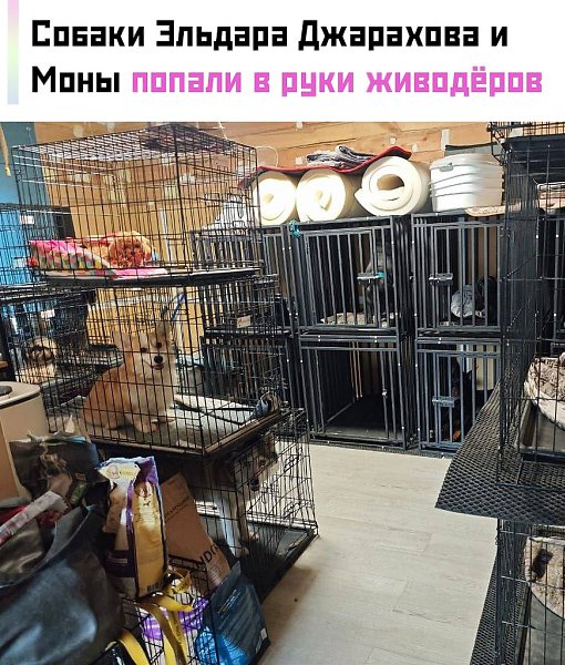          ,    ...