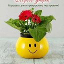 ���� �����, ���������, 40 ��� - ��������� 19 ������� 2026