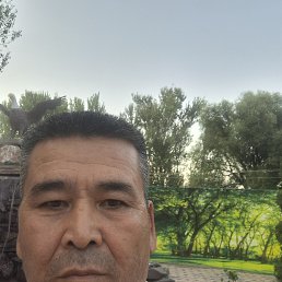 , 49, 
